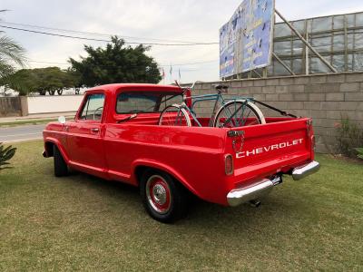 GM/CHEVROLET C10/C14