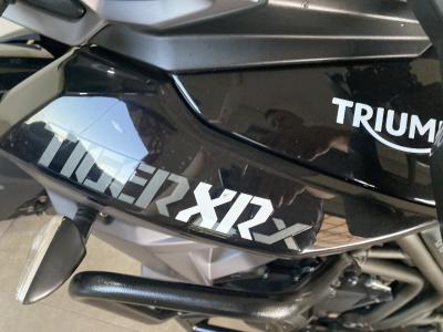 TIGER 800 XRX